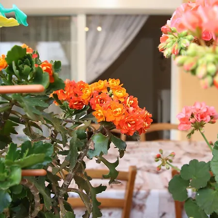 Apartment Tadijic