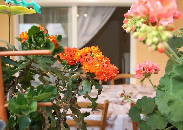 Διαμέρισμα Tadijic